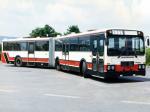 Ikarus 196.03 1984 года